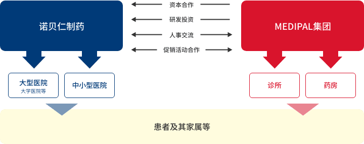 MEDIPAL控股株式会社与诺贝仁制药株式会社的关系以及本公司产品的宣传推广分担