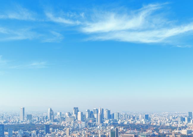 企業情報|ノーベルファーマ株式会社