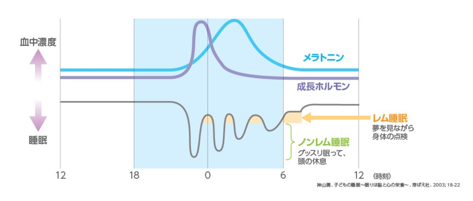 睡眠のしくみ