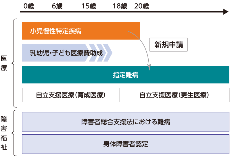 20歳到達時のシミュレーションと注意事項